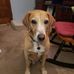 Matthew Olesh - Facebook