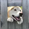 Matthew Opsahl - @nikoshousehuskyrescue - TikTok