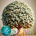 Matthew Iorhem - Facebook