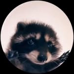 Matthew Ormesher - @matthew_ormesher - Instagram