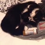 Matthew Ormsby - @mattormsby2003 - Instagram