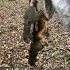 Matthew Ourso - @matthew.ourso3 - TikTok