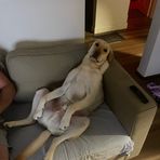 Matt Overman - Facebook