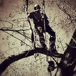 Matthew Overman - @meat_mongel - Instagram