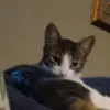 Matthew Padron801 - @yourmomfineeee - TikTok