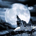 Matthew Palm - Facebook