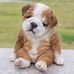 Matthew Palma - Facebook