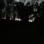 Matthew Parrott - @parrott16 - Instagram