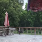 Matthew parrott - @bestfriends86592 - Instagram