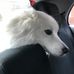 Matthew Parvin - Facebook