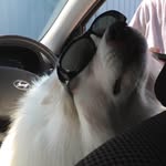 Matthew Parvin - @touchysnaill55 - Instagram