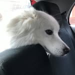 Matthew Parvin - @touchyrcostello - Instagram