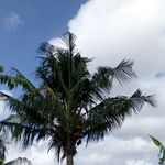 matthew paschal - @paschalmatthew - Instagram
