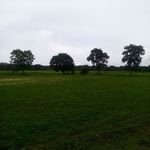 matthew paschal - @matthew.paschal - Instagram