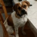 Matthew Patti - @matcat2019 - Instagram