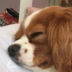 Matthew Peach - @mattypeach533 - Instagram