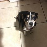 Matthew Pecoraro - @mattfpp - Instagram