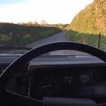 Matt Peers - @matthewpeers - Instagram