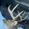 Matthew - @matthew.peiffer - TikTok