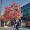 matthewpfeffer - @matthewpfeffer - TikTok