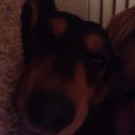 Matthew Penner - @opboss924 - Instagram