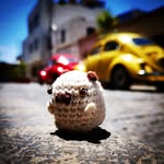 Matthew Perri - @perromatthew - Instagram