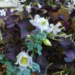 Matthew Peterkin - @peterkinlandscapes - Instagram