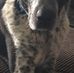 Matthew Pfeil - Facebook