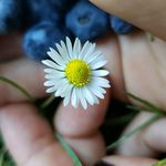 Matthew Phung - @projectingperspective - Instagram