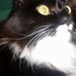 Matthew Neil Pile - @pilematthew - Instagram