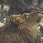 Matthew Schiszler - @matthew_pina - Instagram