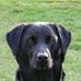 Matthew Pinner - Facebook