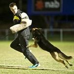 Matthew Pitt - @pitt4615 - Instagram
