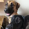 Matthew Light - @matthew.light65 - TikTok