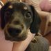 Matthew Plumb - Facebook