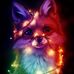 Matthew Plumley - Facebook