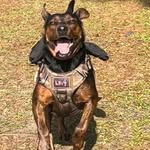 Matthew Joseph Poche Candelaria - @c4_bangalore - Instagram