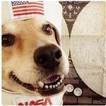 Matthew Pogue - @poguepotamus - Instagram