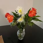 Jeannette Matthew Porterfield - @jeannetteporterfield - Instagram
