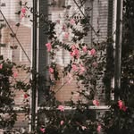 Matthew Pound Subryan - @matthew.subryan - Instagram