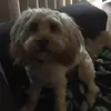matthewpound - @matthew_pound_7 - TikTok