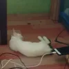 matthew_prado😅🙂🙂 - @31955787937 - TikTok