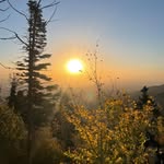 Matthew Prentice - @prenticematthew - Instagram