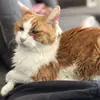 Buster - @matthewpulling8 - TikTok