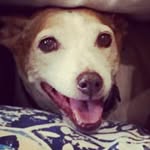 Matthew Pullinger - @matthew.pullinger - Instagram