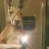Matthew Quezada - @matthew.quezada7 - TikTok