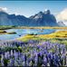 Matthew Quezada - Facebook