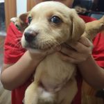 Matthew Quezada - @matthew.quezada.547 - Instagram