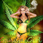 Raiders_4_Eva - @matthew_quezada_21 - Instagram