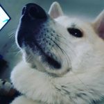 MathewRama - @matthew_radamanthys - Instagram